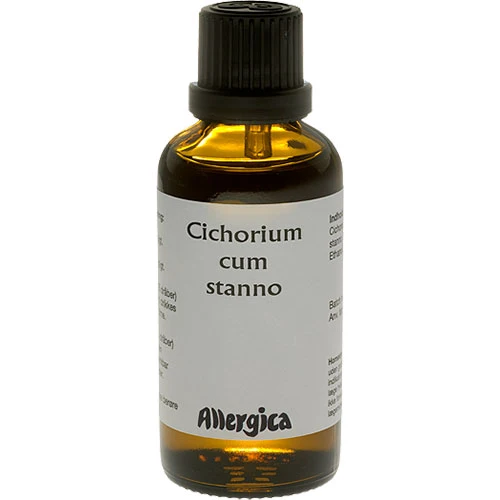 Laser Level Cichorium cum stanno