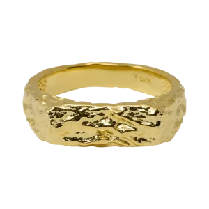 Laser Level SRBlurry Signet Ring 6