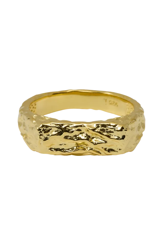 Laser Level SRBlurry Signet Ring 6