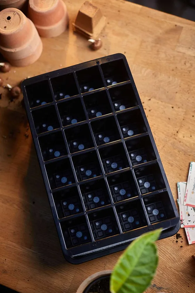 Minidrivhus med selvvanding m. 24 celler