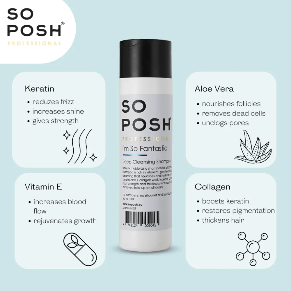 SO POSH I'm so fantastic shampoo + conditioner 250ml DIY Projects