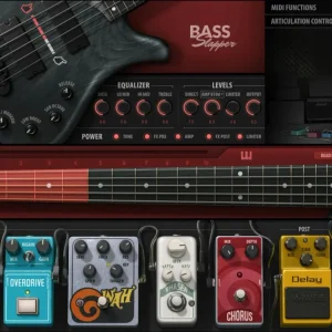 Precision Waves Bass Slapper