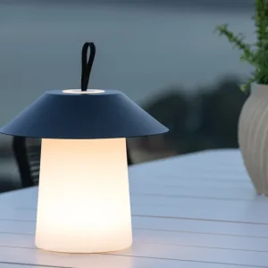 Professional Grade Rubu Bord Lampe