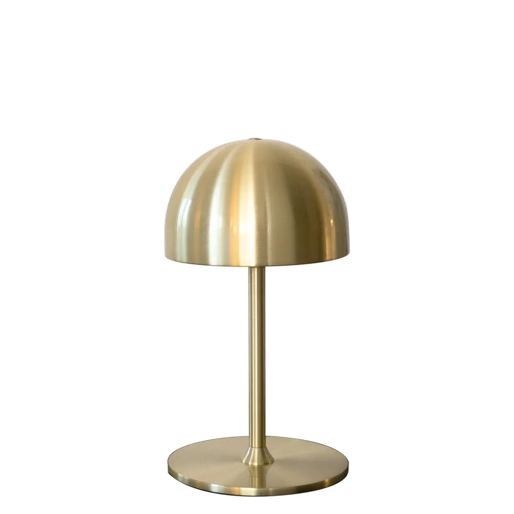 Professional Grade Tim lithium-ion lampe Hvid