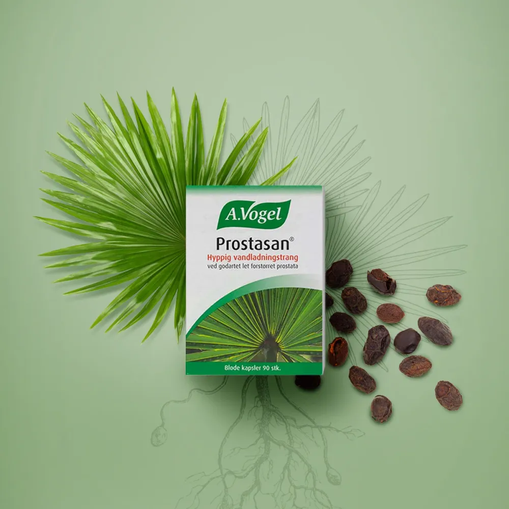 Prostasan Storage Case