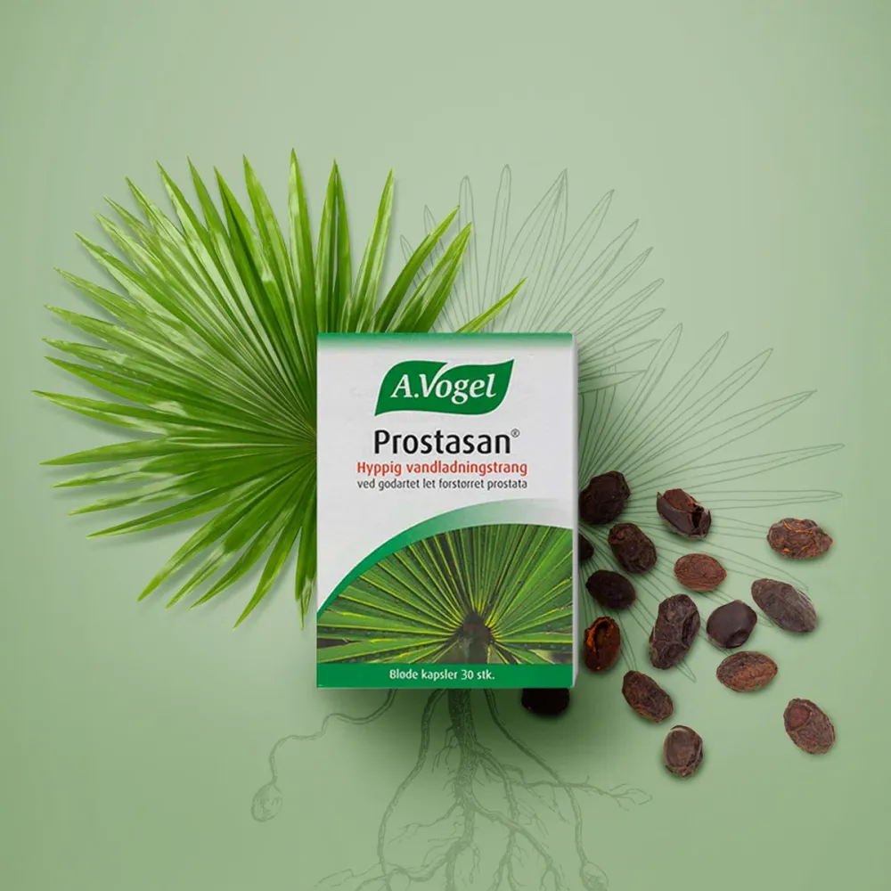 Safety Certified Prostasan