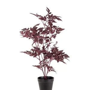 Silverax 75 cm
