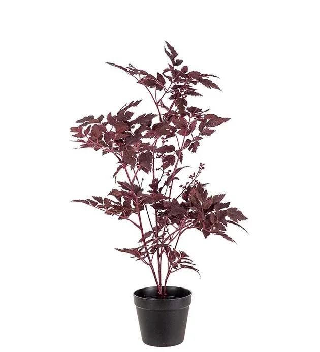 Silverax 75 cm
