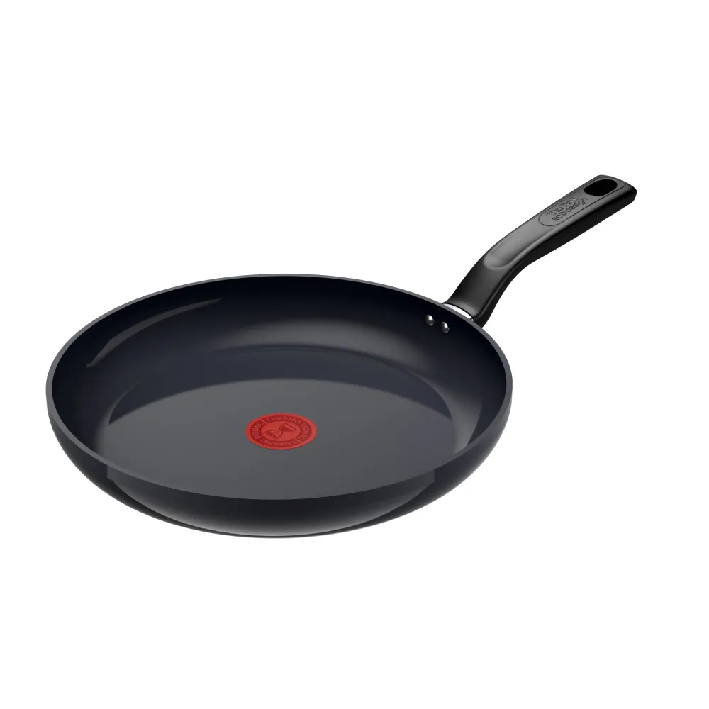 Tefal Alter stegepande 28 cm