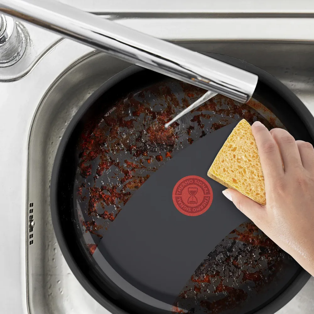 Tefal Alter stegepande 28 cm
