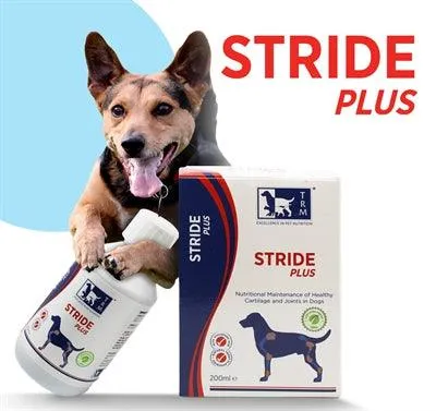 Trm Stride Plus Work Light