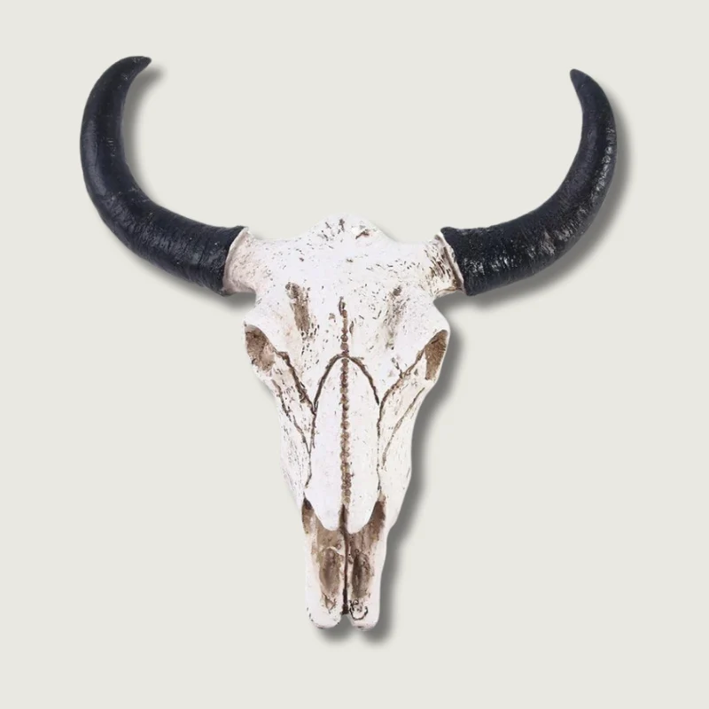 Decorative Longhorn Skull | White Resin Wall Art