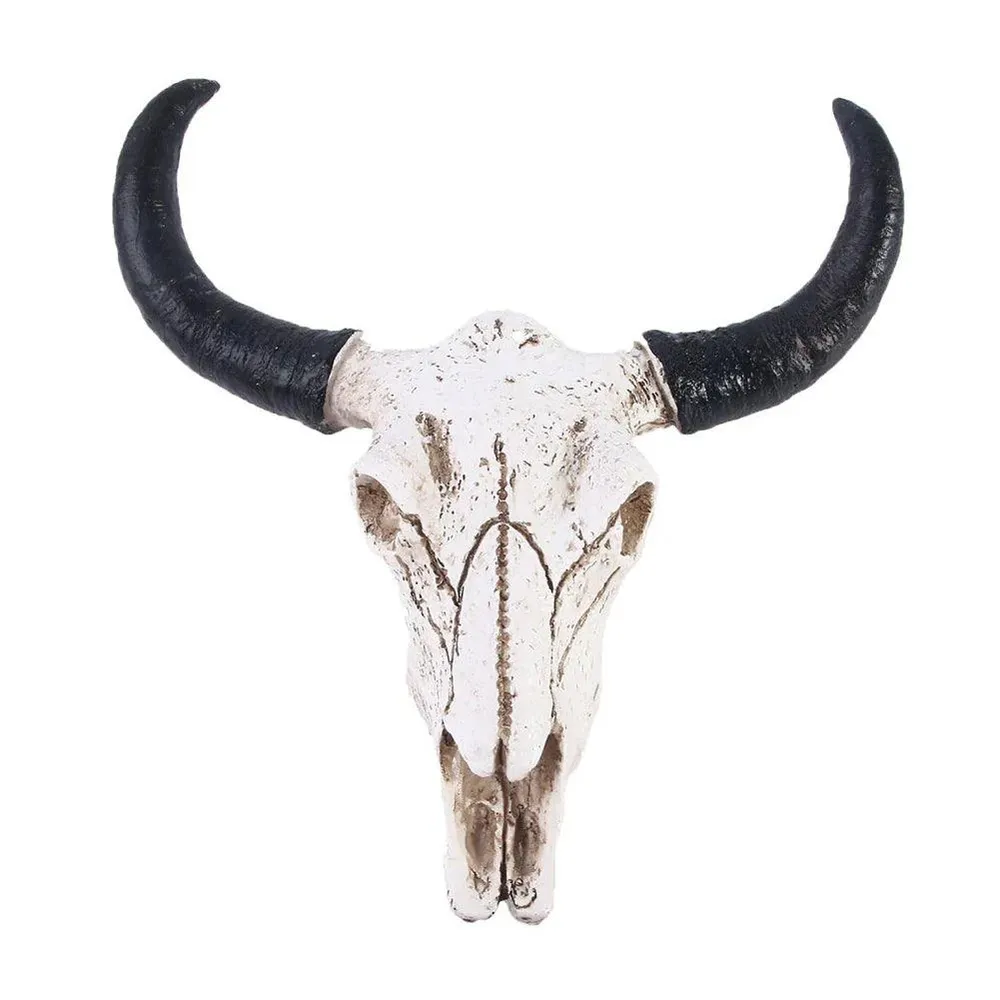 Decorative Longhorn Skull | White Resin Wall Art