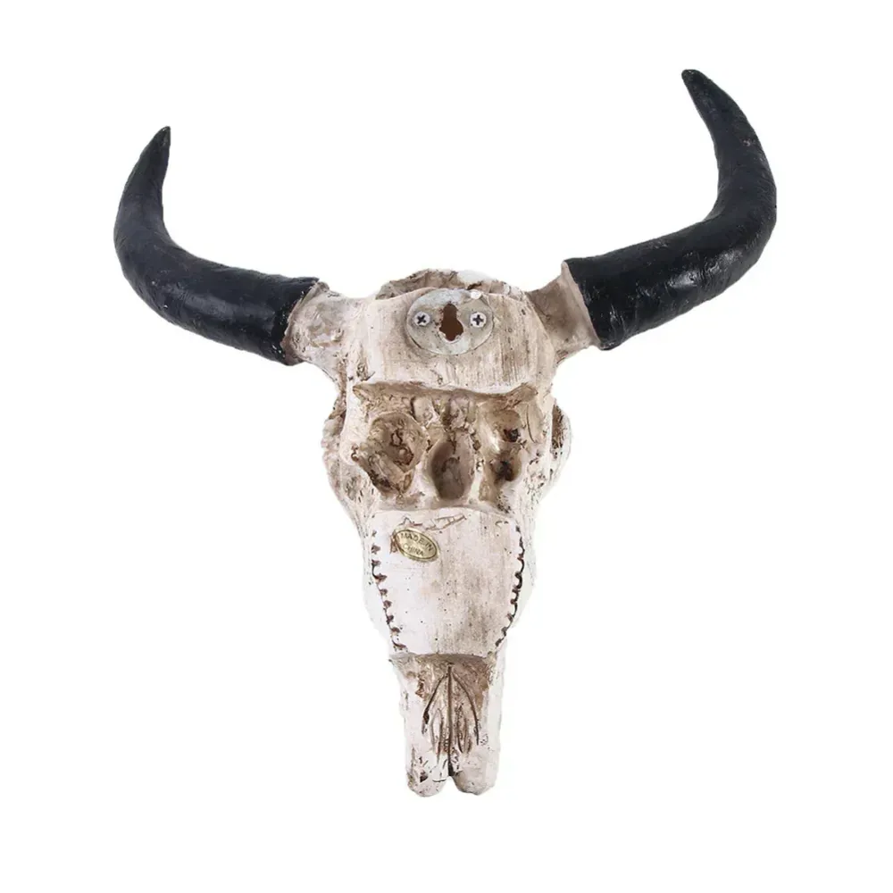 Decorative Longhorn Skull | White Resin Wall Art
