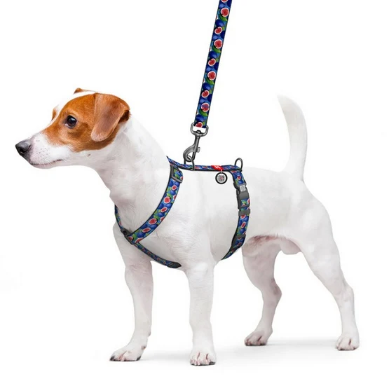 Collar WauDog Polyamid Szelki nylonowe anatomiczne w kształcie litery H, z QR-paszportem, plastikowy fastex, wzór FIGA, ro...