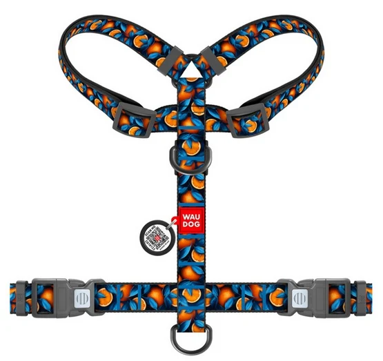 Collar WauDog Synthetic Szelki nylonowe anatomiczne w kształcie litery H, z QR-paszportem, plastikowy fastex, wzór POMARAŃ...