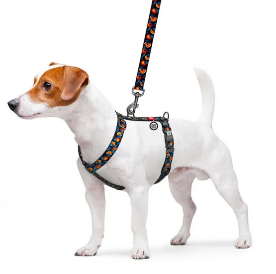 Collar WauDog Synthetic Szelki nylonowe anatomiczne w kształcie litery H, z QR-paszportem, plastikowy fastex, wzór POMARAŃ...